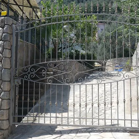 Il Riccio
